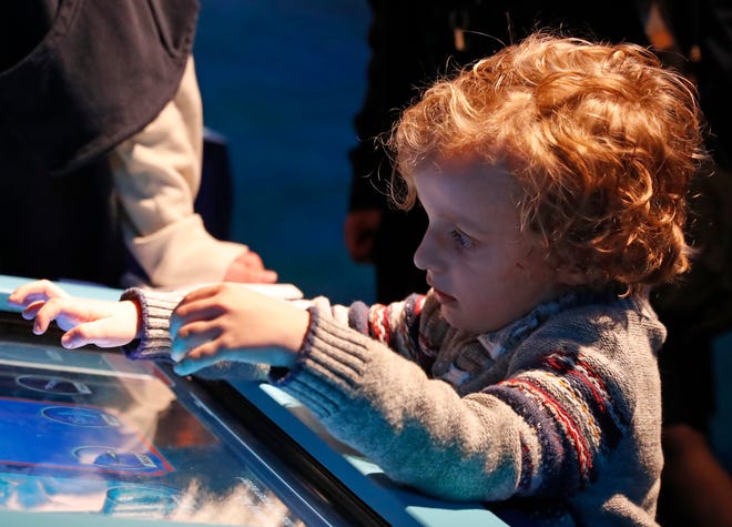 Rowan Appleton interacționează cu o nouă parte a expoziției în timpul evenimentului de redeschidere a expoziției din dinosferă, joi, 10 martie 2022, la Muzeul Copiilor din Indianapolis din Indianapolis.