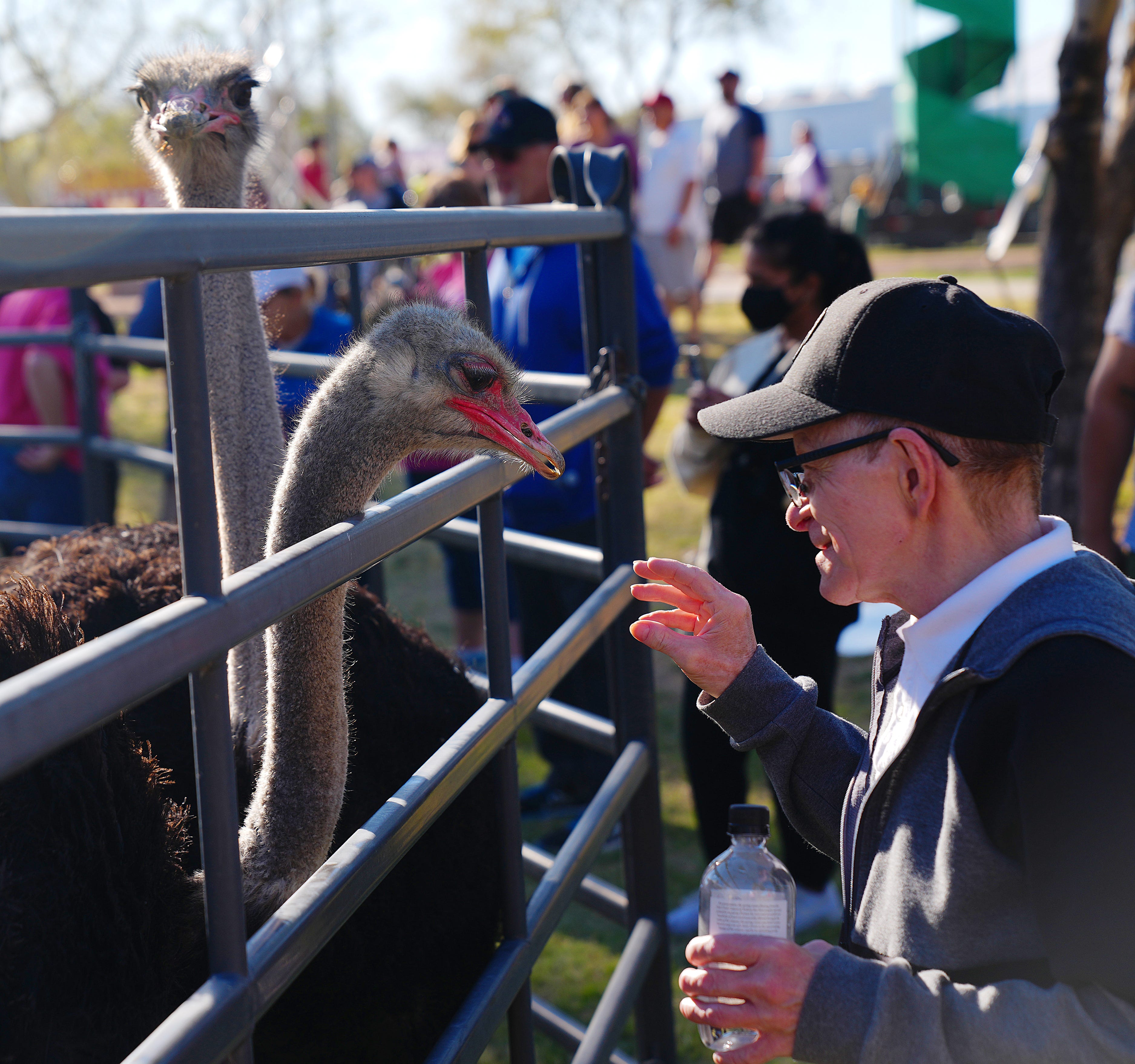 Chandler Ostrich Festival announces 2023 dates