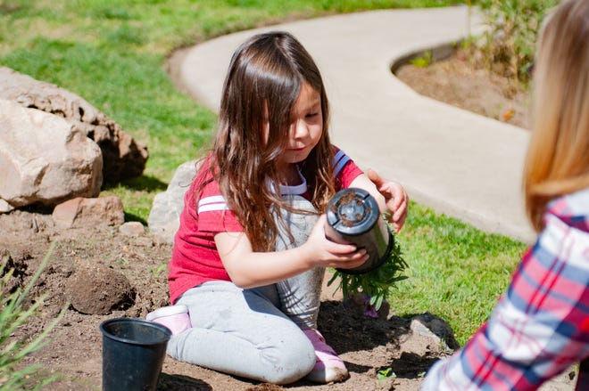 Volunteers, Megan Casebeer Soleno and her daughter Paloma, 4, from the Public Defender's Office help to plant flowers outside of Visalia's residential facilities.