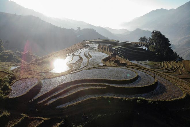 Terraced rice fields are seen in Vietnam's northern Yen Bai province on Nov. 28, 2021.