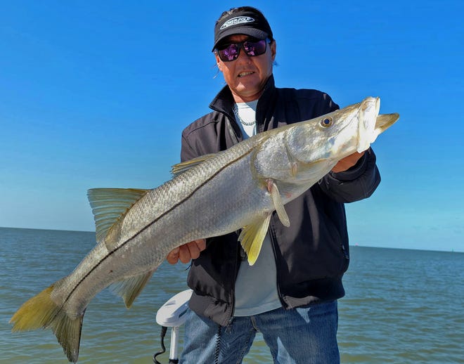Marrio Castello, captain of Tall Tales Charters, will showcase a 37-inch snook caught in a DOACAL 5.5-inch jerk bait in glow color while fishing on Crystal River this week. 