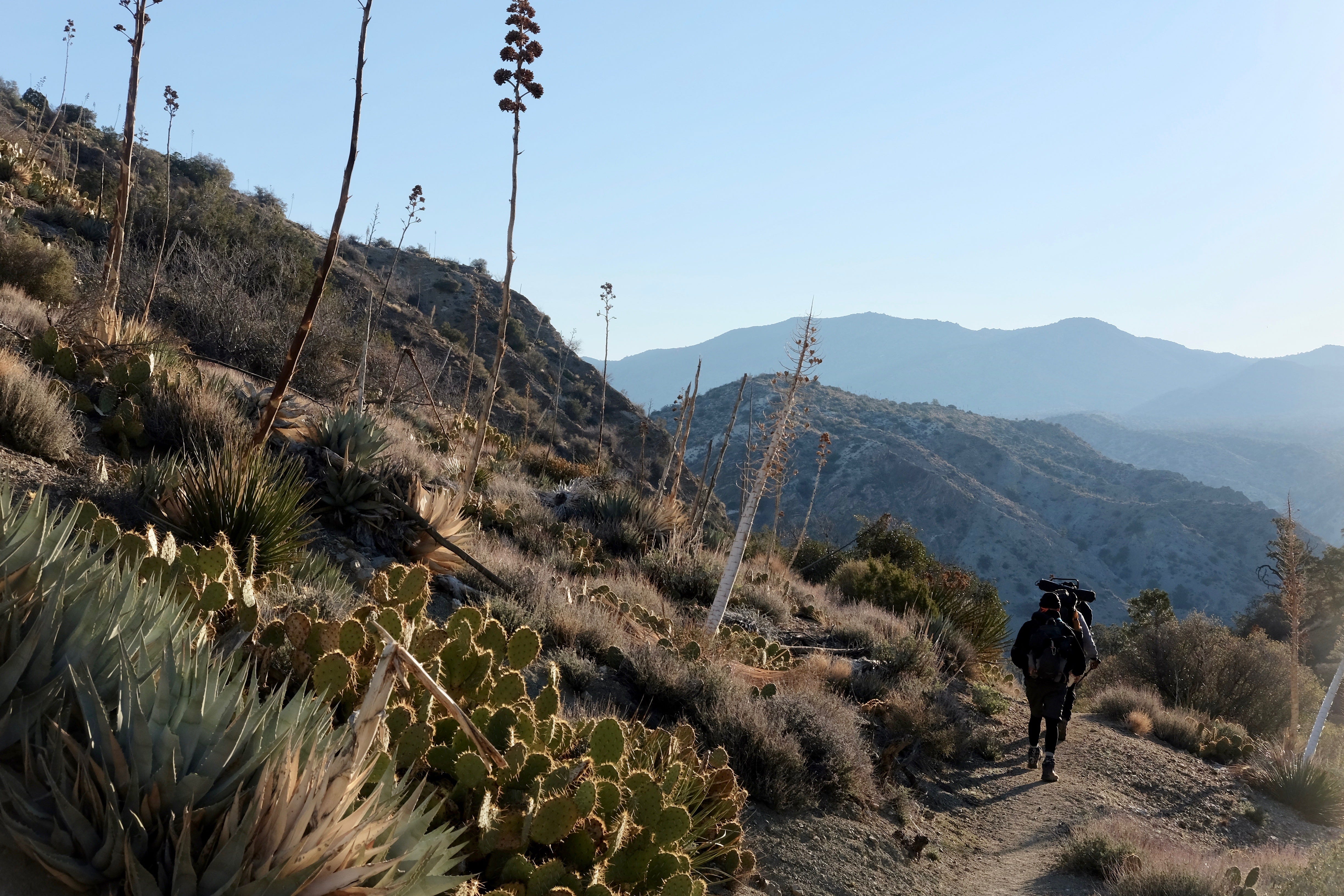 Hikers walk past agave and prickly pear cacti in the Santa Rosa Mountains on March 13, 2022.