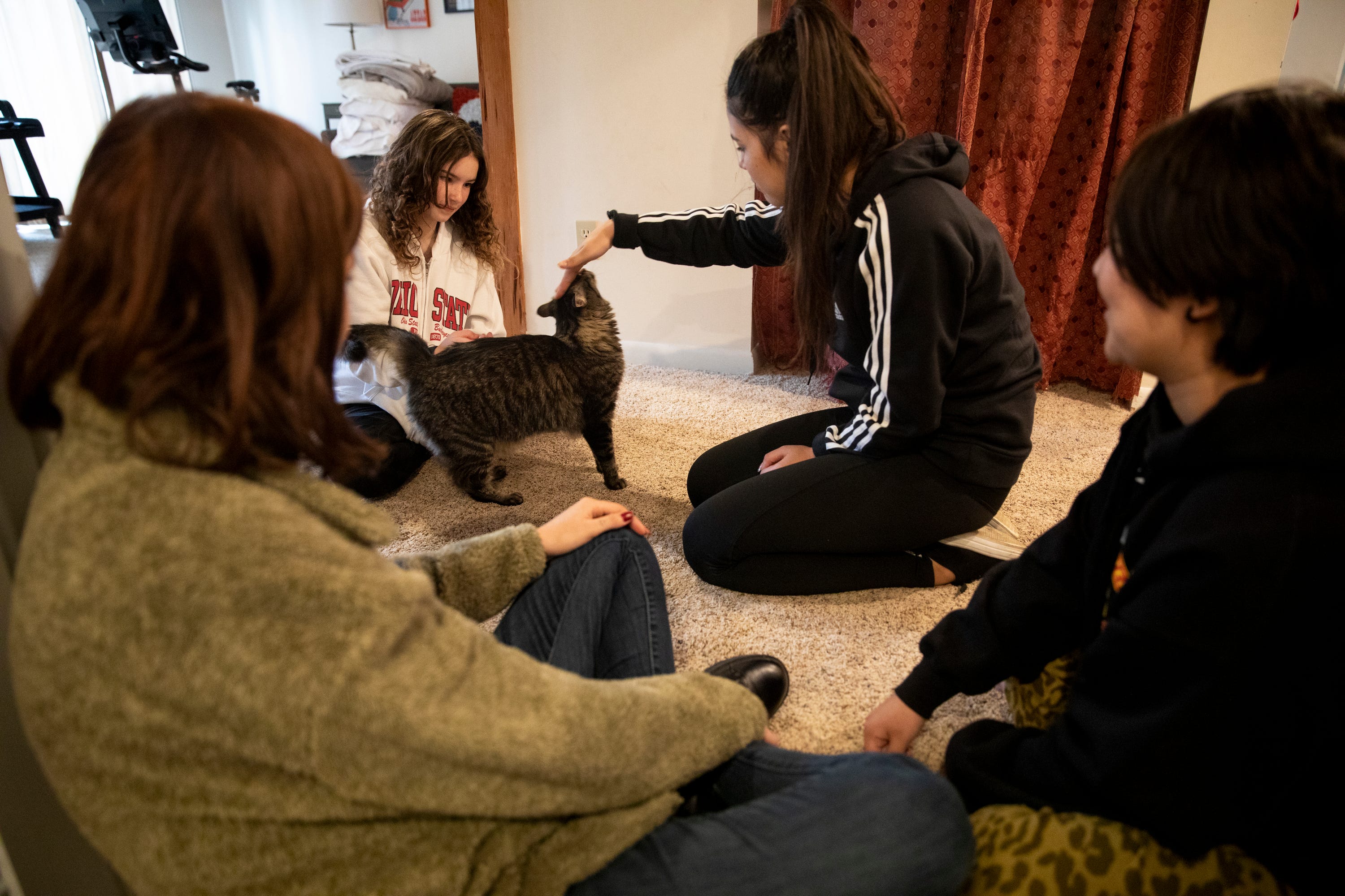 Sonita plays with the Landsman family cat, with Maddie Landsman, 12, after moving into the Landsman's home in Mt. Washington. Sonita left her dogs and family when she fled Kabul with Soria and Fatana.