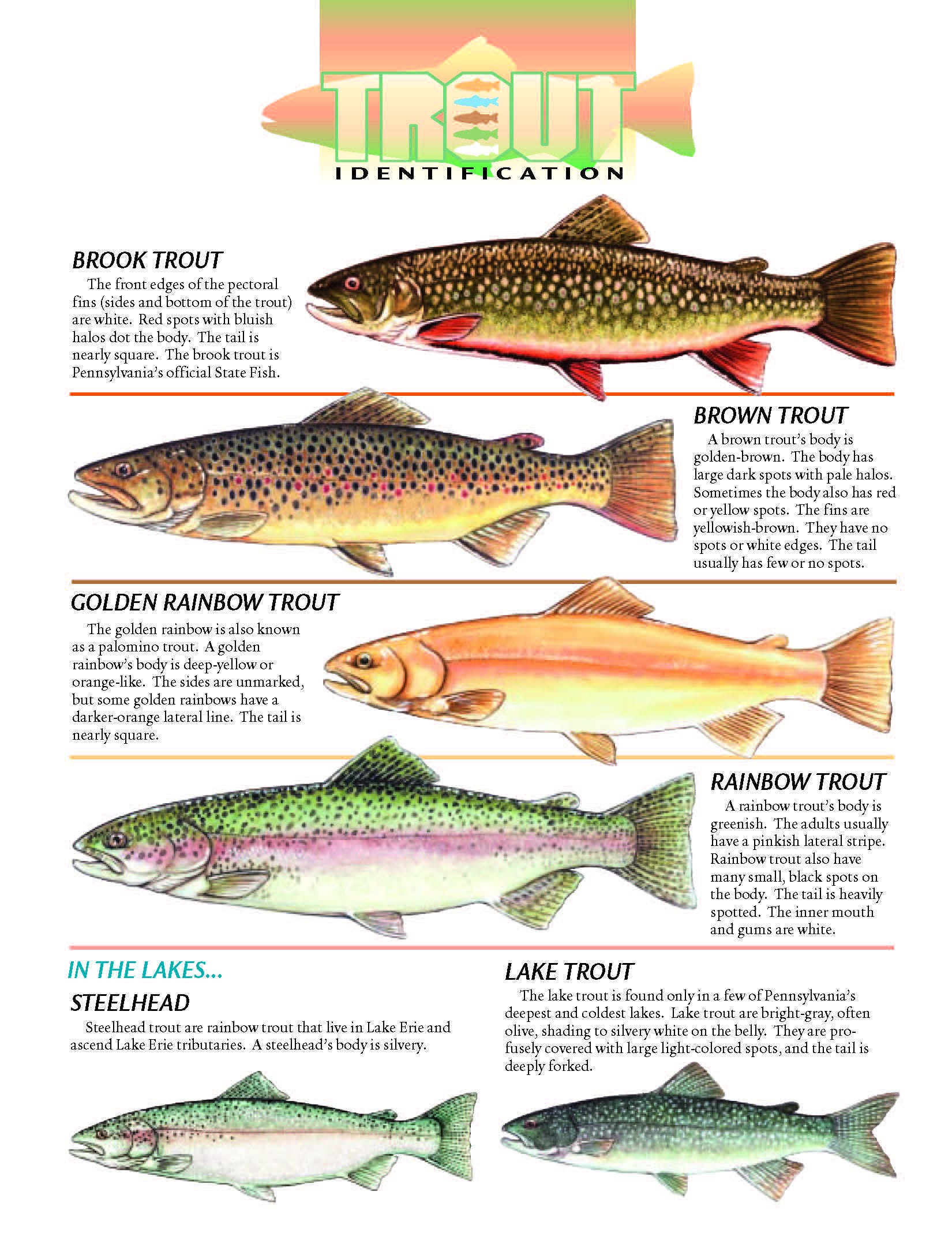 sports-in-beaver-pa-beaver-county-times