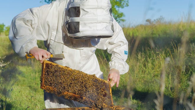 Amara Orth of Glenwood, 18, won a large prize in a nationwide science competition for research that could help beekeepers with the health of their bee colonies.