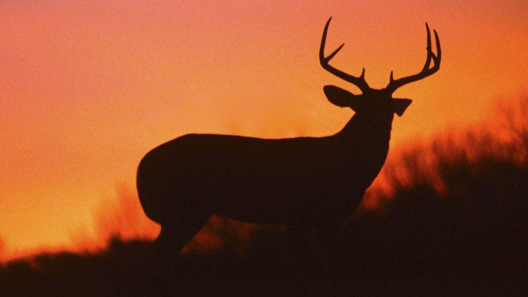 Pennsylvania archery deer season almost here What you need to know