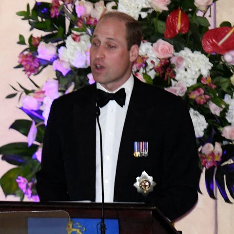 Prince William (R) delivers a speech, flanked by C