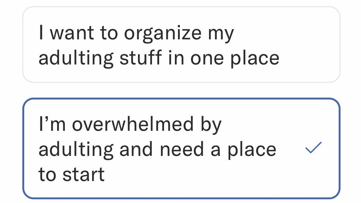 Realworld breaks adulting down into four major categories the company calls 