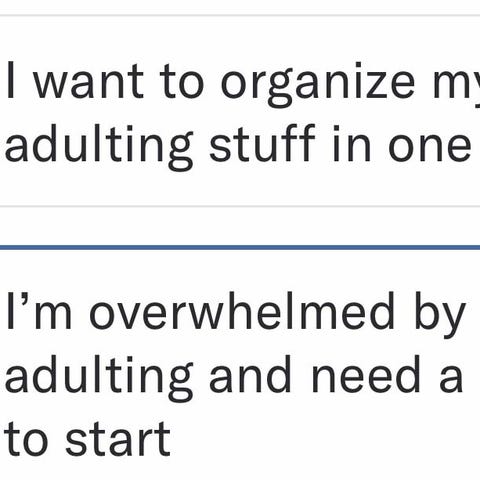 Realworld breaks adulting down into four major cat