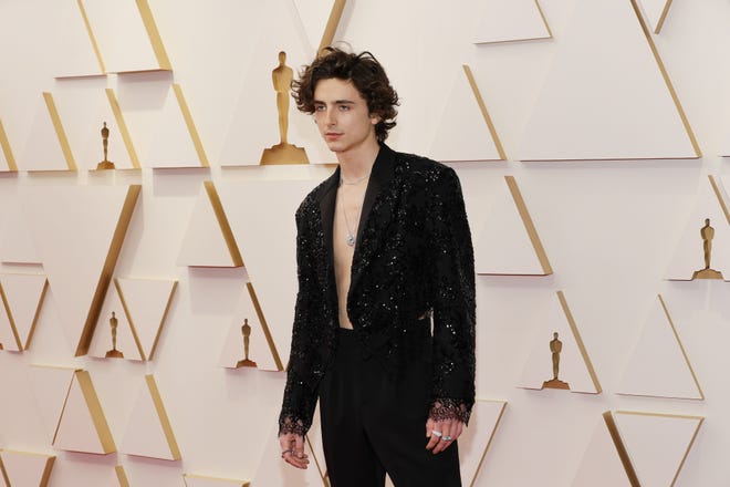 Timothée Chalamet attends the 94th Annual Academy Awards at Hollywood and Highland on March 27, 2022 in Hollywood, California.