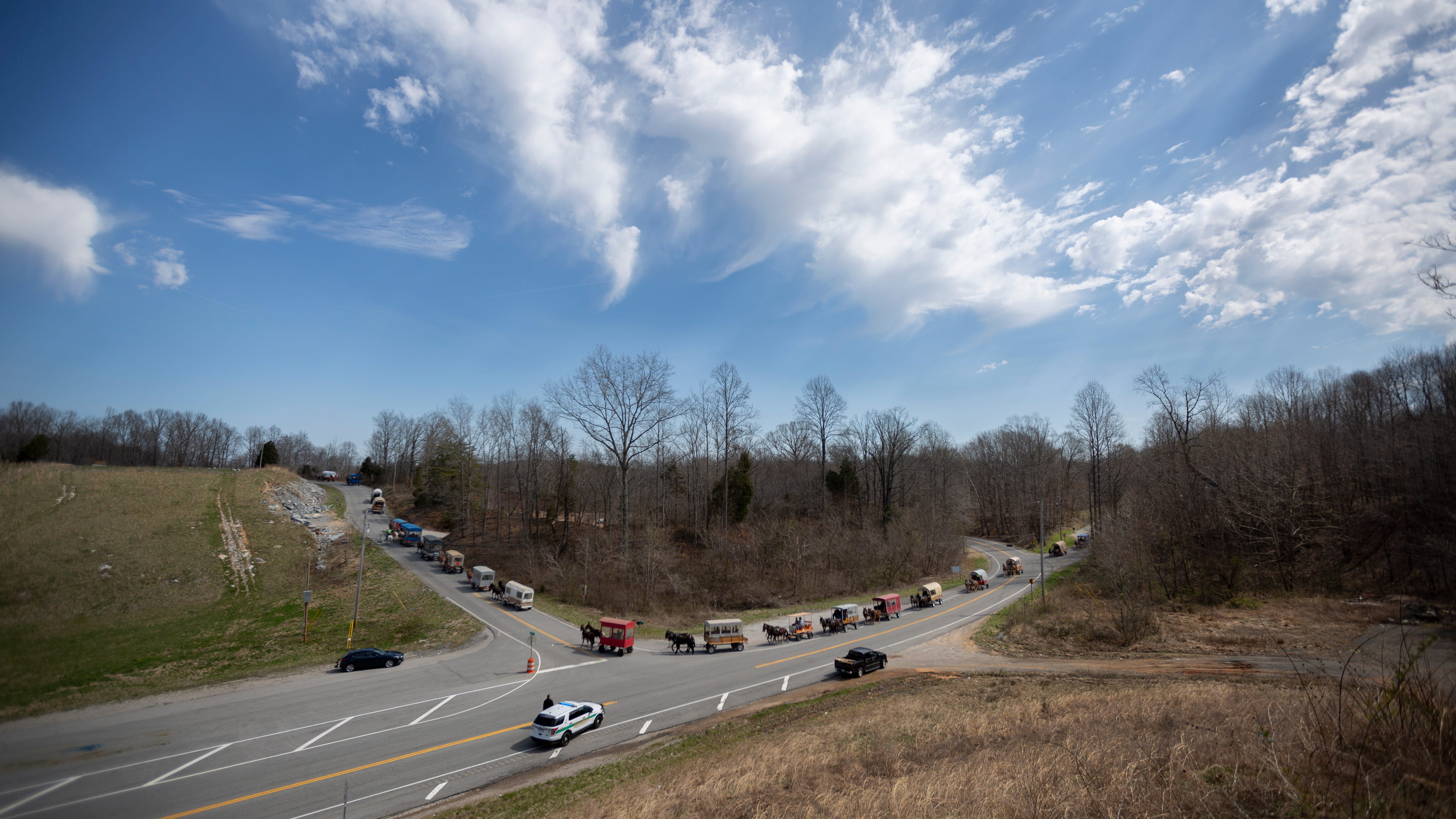 Mule Day in Columbia, Tennessee
