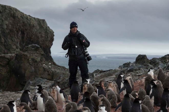 Birder and scientist Noah Strycker on Livingston Island, Antarctica. with Chinstrap Penguins in 2020. Strycker will speak in Tallahassee April 3, 2022.