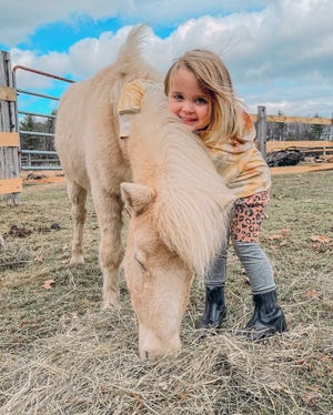 Evelyn Macduff, 3, with Marigold, one of their miniature horses at Vintage Meadows at Flanagan Farm.