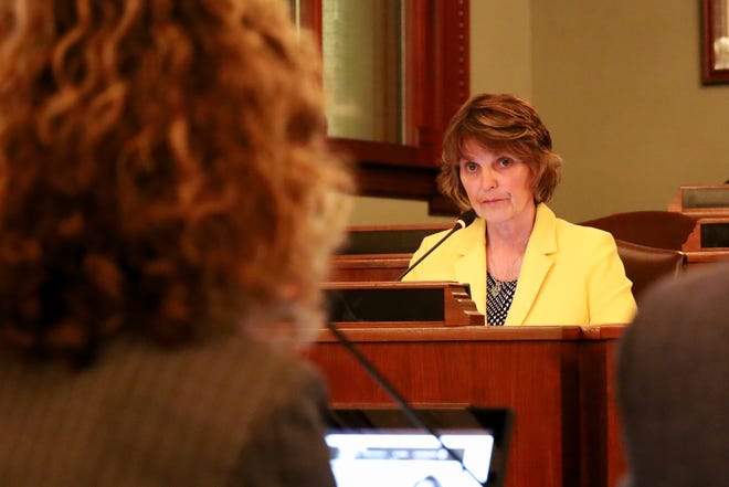 What to know about Sue Scherer, Lisa Smith before Illinois election What to know about Sue Scherer, Lisa Smith before Illinois election