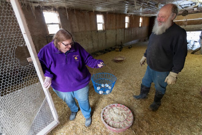 Nancy and Tom Kellner are shown March 30th in the Duck House at the Kellner Back Acre Garden in Denmark, Wisconsin.  The 40-hectare organic farm raises 300 ducks for eggs in addition to 2,000 laying hens and a few turkeys.  The birds usually lay an egg every day.