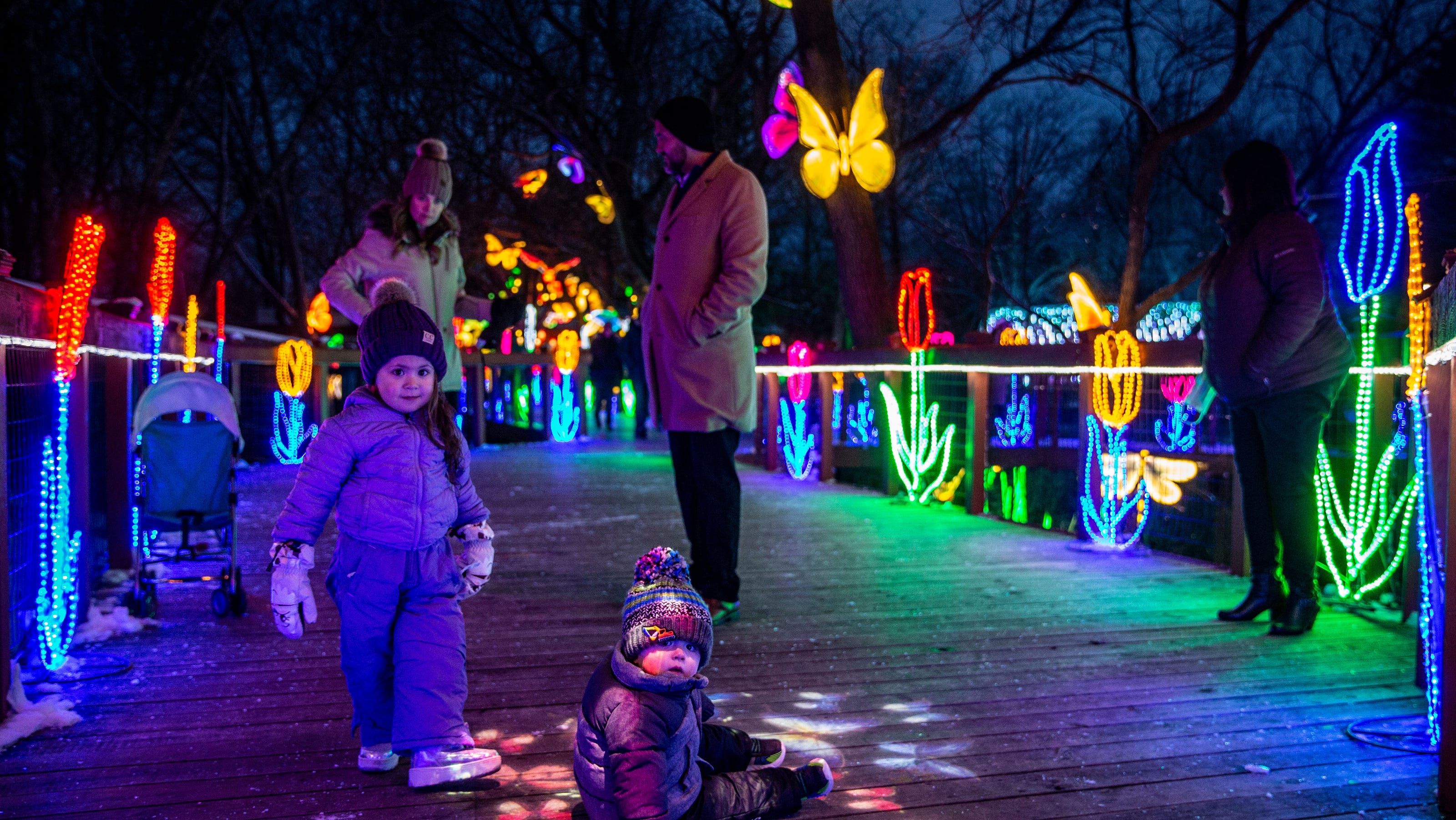 Blank Park Zoo's Wild Lights opens in Des Moines with lanterns