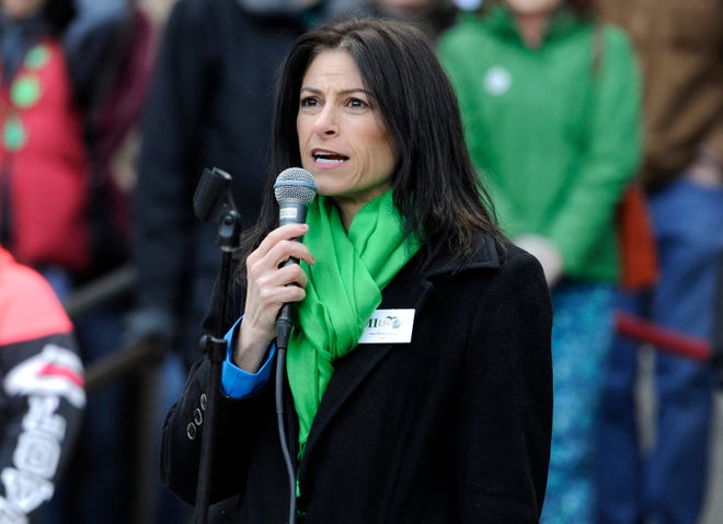 Then attorney general candidate Dana Nessel speaks during Hash Bash 2018.