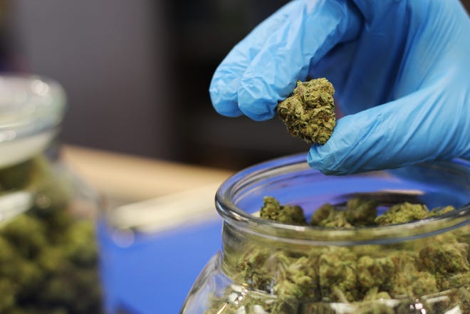 Austin De La O, assistant manager at Everest Cannabis Co. in Las Cruces, N.M., shows off one of the different strains the dispensary offers on April 1, 2022.