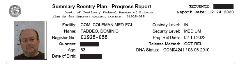 Dominic Taddeo in 2020