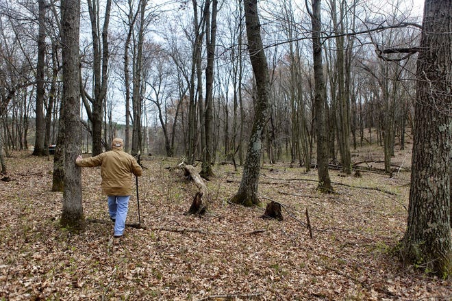 Author Jerry Apps enjoys standing in one of his woodlots at Roshara this time of the year,  looking, listening, smelling—feeling for the changing of the seasons.