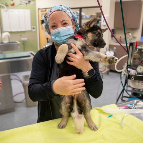 Dawn Miyake, RVT, holds Raga, Fishers, Friday, Dec