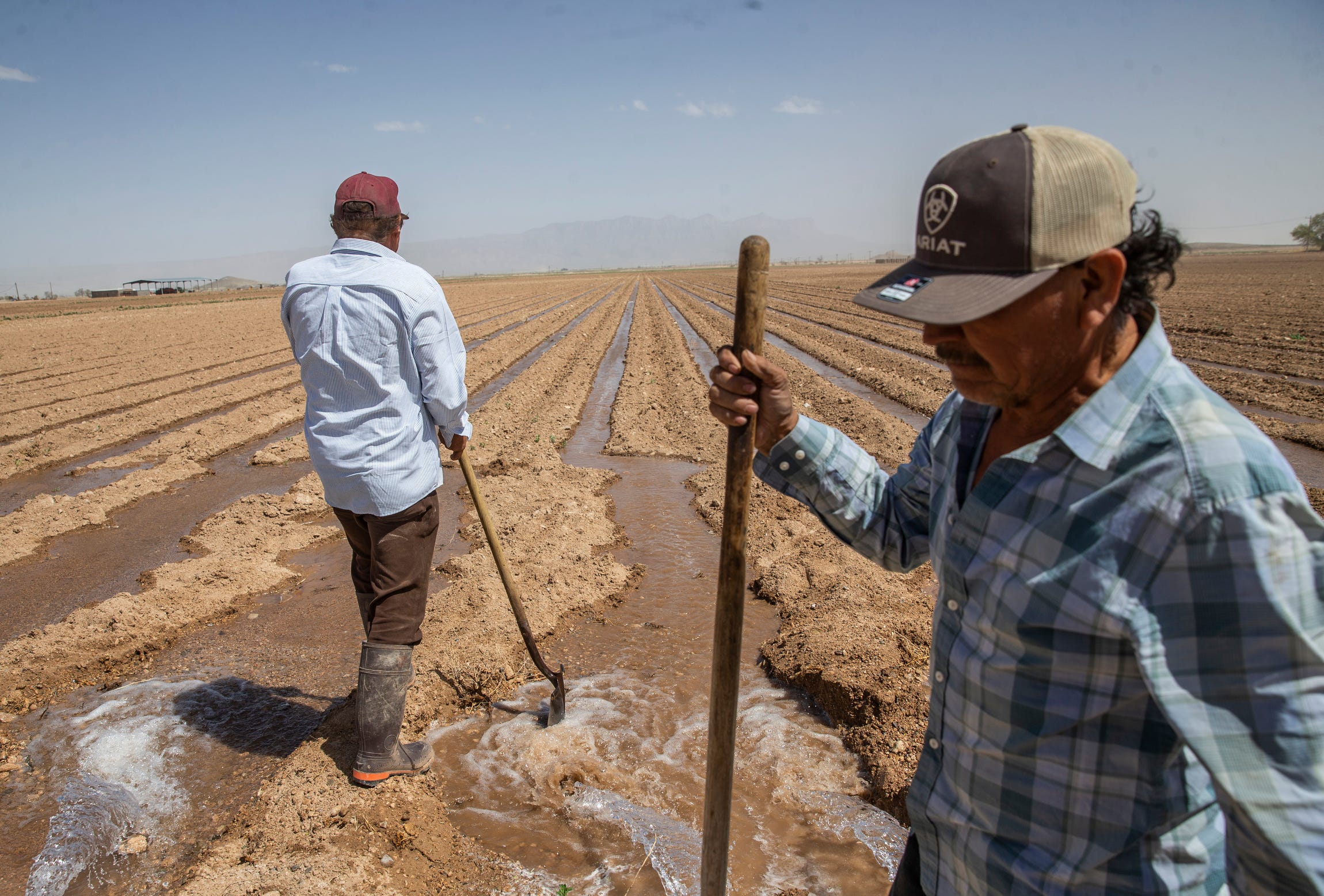 Agricultural workers flood a field for the production of chiles in Dell City on March 29, 2022. Farmers are transitioning away from flood irrigation to conserve water.