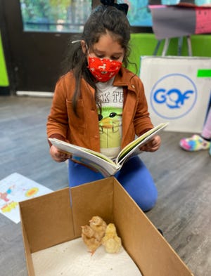 First grader Juliana Solis reads a book to some recently-hatched chicks in March at Williams Science and Fine Arts Magnet School.
