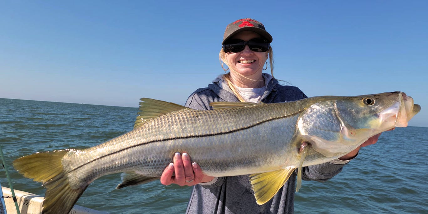 SALTWATER: Good numbers of snook and big spawner-size fish being caught SALTWATER: Good numbers of snook and big spawner-size fish being caught