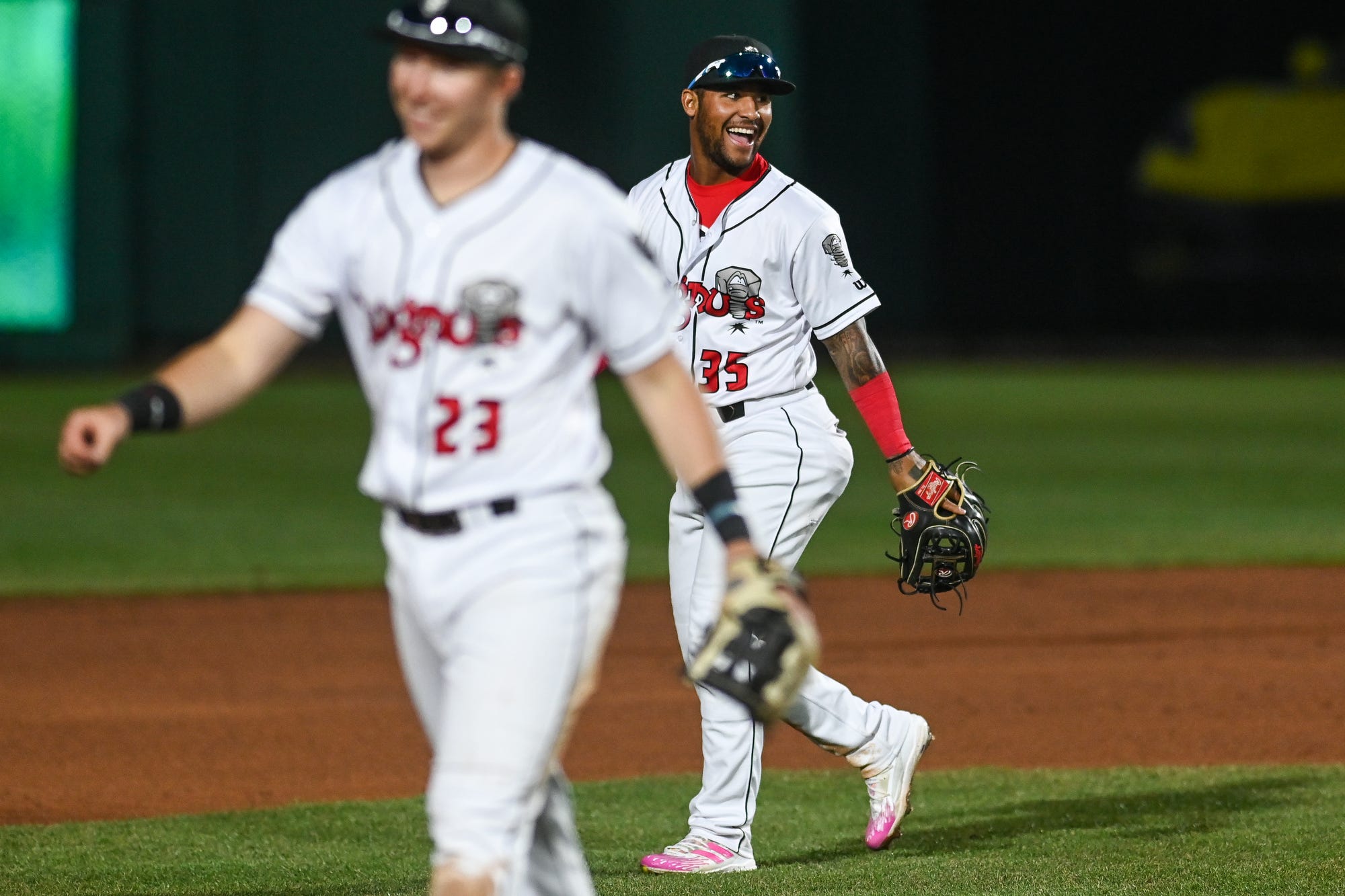 Lansing Lugnuts to be purchased by Diamond Baseball Holdings