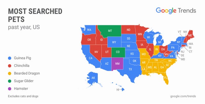 Google Trends shared a map with USA TODAY of some of the most searched pets by state.