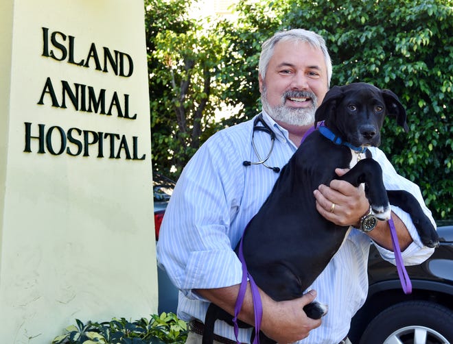 Dr. Brad Ochstein, owner of Island Animal Hospital, is shown in a 2015 photo with his rescue dogs, Chop, in front of the clinic on Sunset Avenue.  He has announced his retirement from practice.