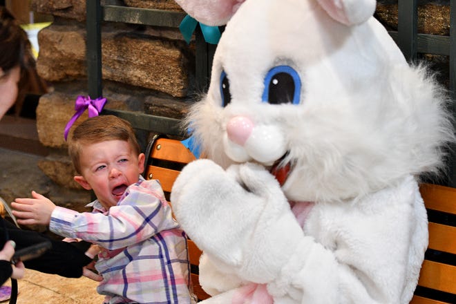 SHREWSBURY - Anthony Cerrone, 2½, of Shrewsbury couldn't back away fast enough during his visit with the Easter Bunny at Hebert's Candy Mansion in Shrewsbury on Saturday.