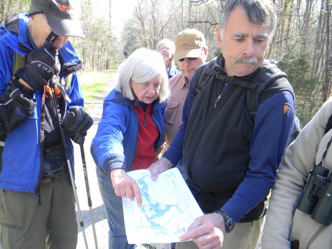 Oak Ridge City Council member Ellen Smith points out a location on a map held by Oak Ridge resident James Groton. The two were on a Harvey Broom Group Sierra Club hike to look at the site of the proposed future power line.