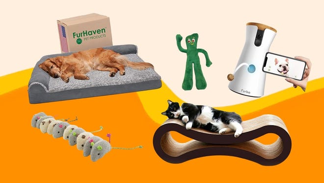 Best toys and treats to buy for International Pet Day