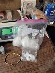 Wayne County Drug Task Force officers confiscated about 100 grams of drugs when executing a search warrant at a South Ninth Street residence.
