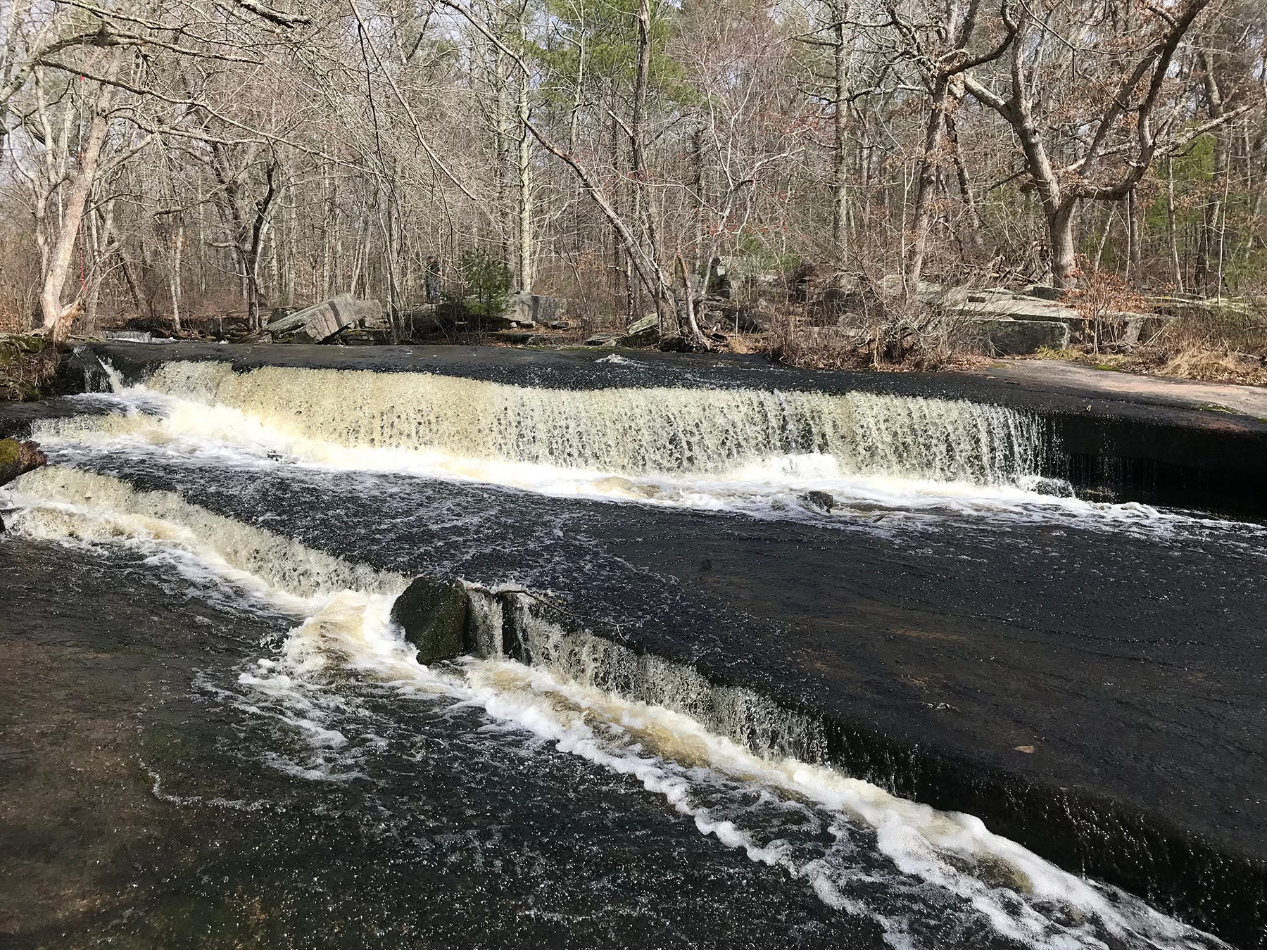 A small, wide waterfall surrounded by woodland.