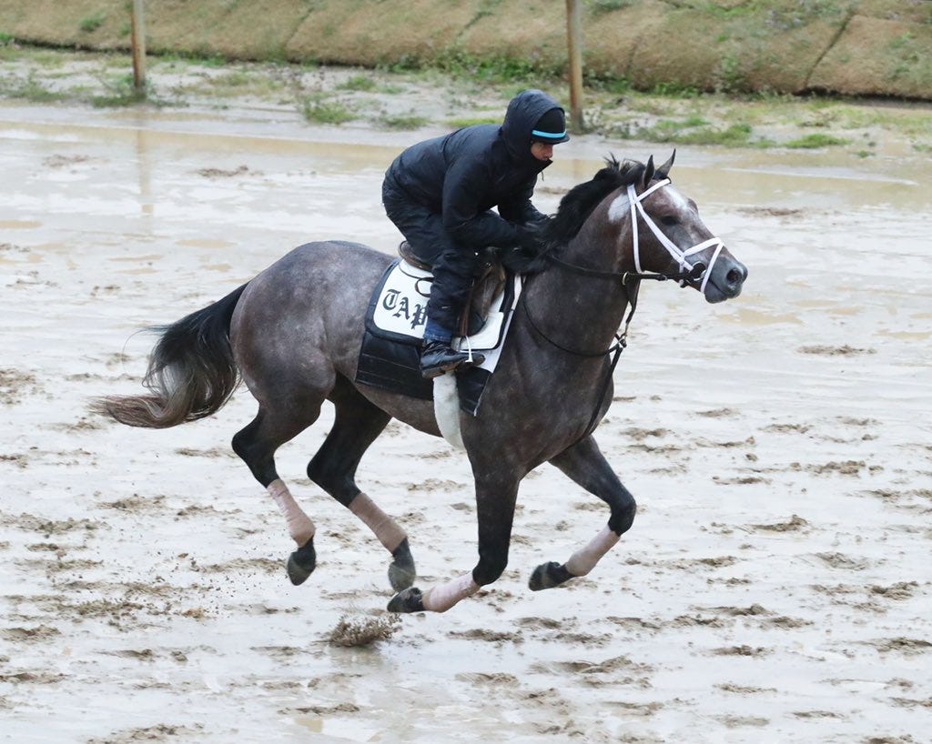 Charge It Derby horse's jockey, trainer, owner, bloodline and more