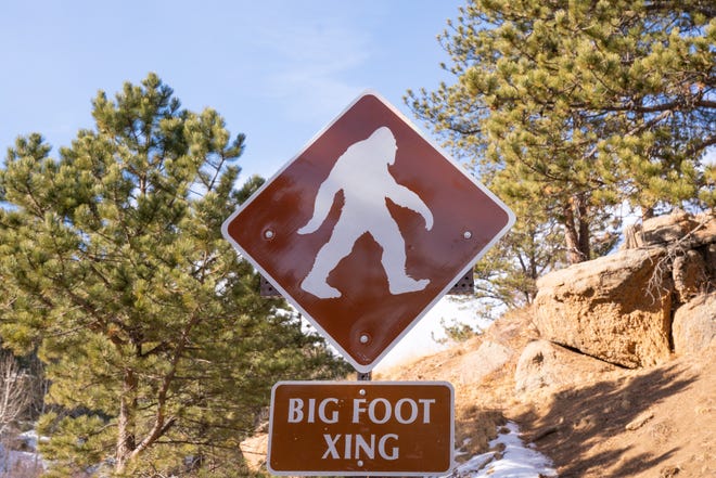 Ar matėte Bigfoot?