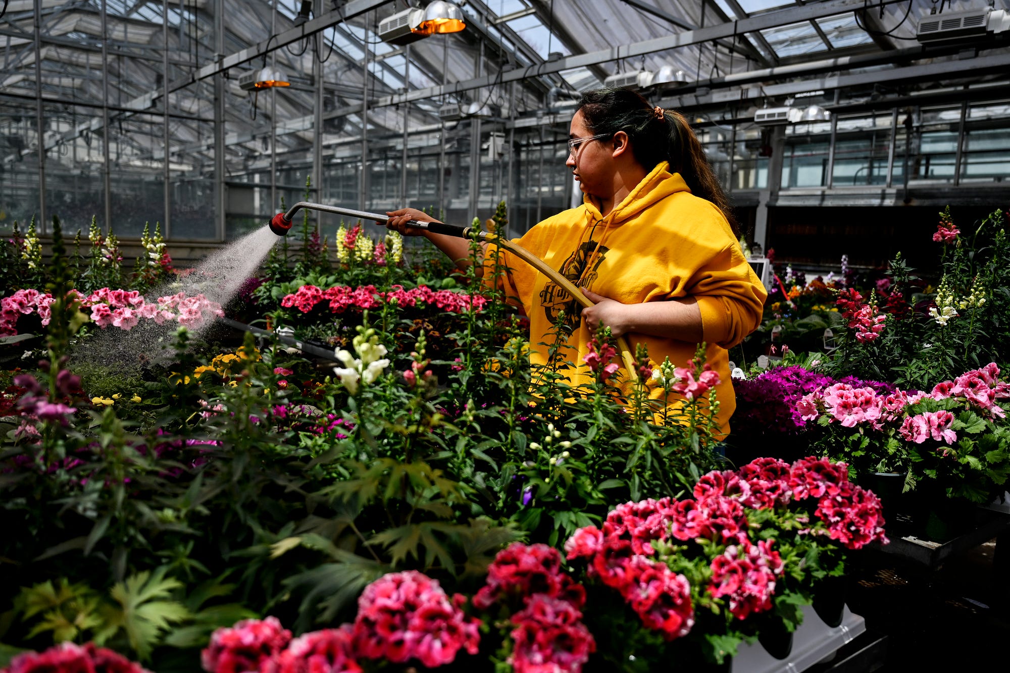 Michigan State horticulture plant sale April 23-24 in East Lansing