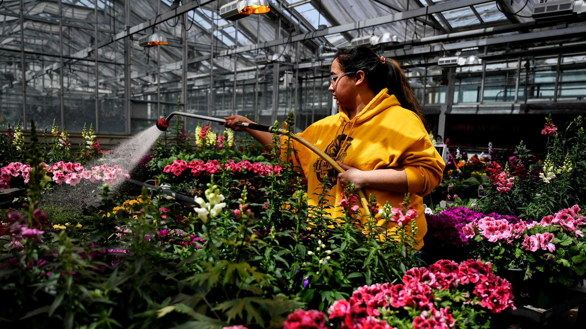 Michigan State horticulture plant sale April 23-24 in Lansing