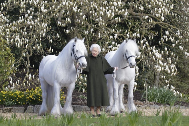 Queen Elizabeth II holds her fell ponies, Bybeck Nightingale (right) and Bybeck Katie.