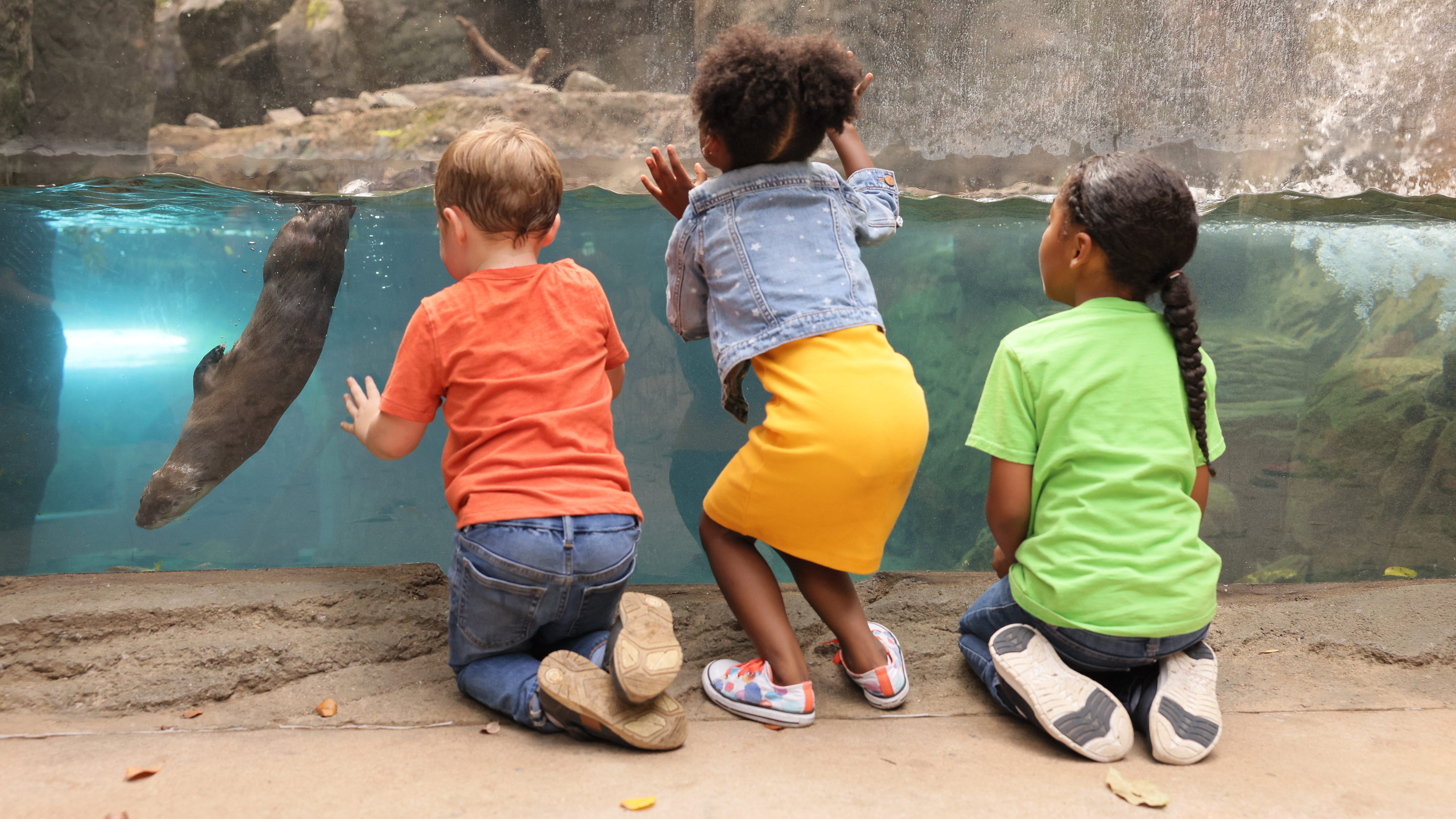 Where the wild things are: Maryland zoos to explore in 2022