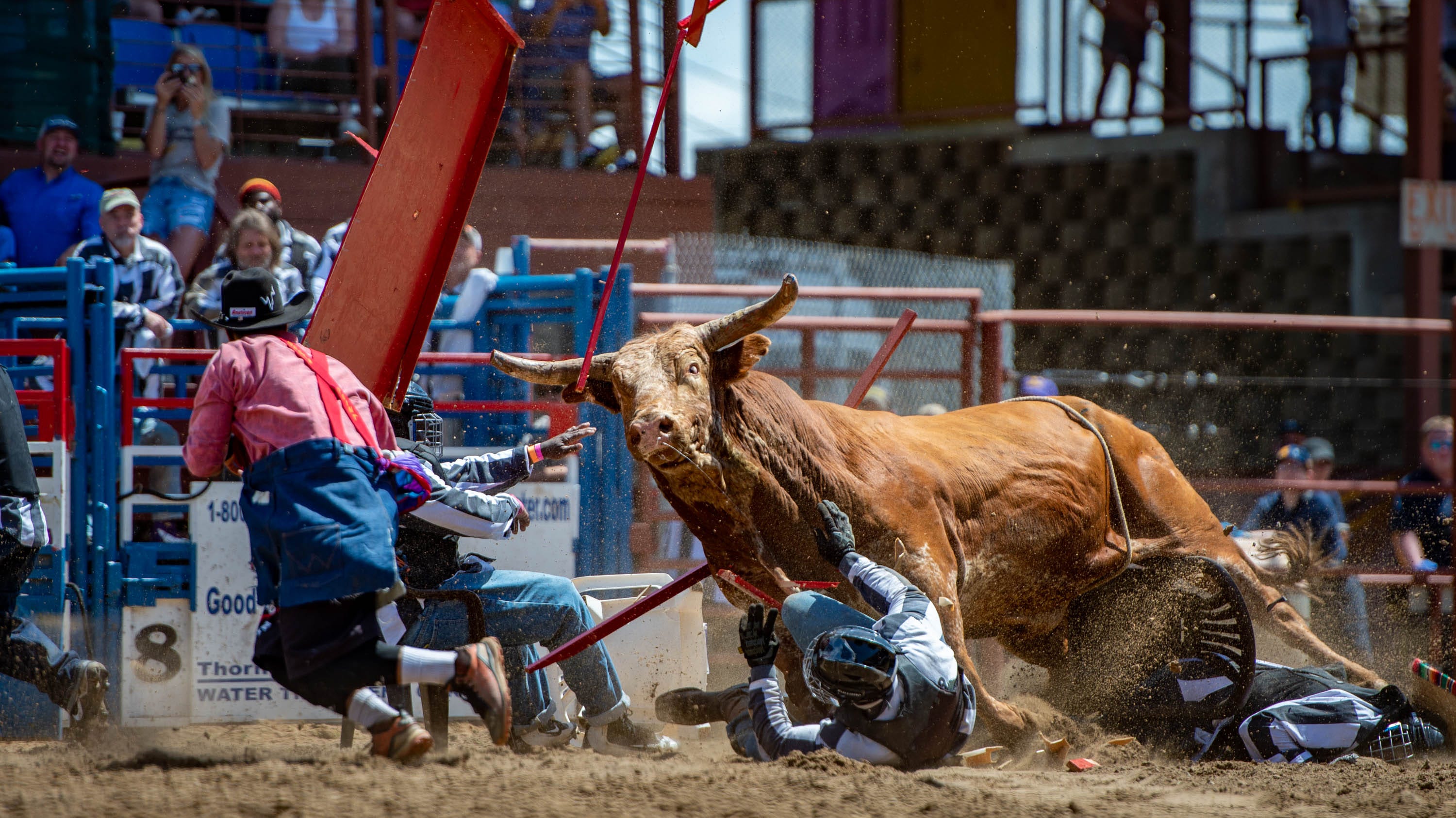 Angola Prison Rodeo returns in 2022 to soldout crowd