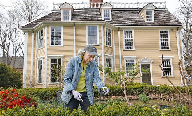 Rebecca Dinsmore, of Quincy, has volunteered at the Dorothy Quincy Homestead as the gardener for 23 years, Monday, April 25, 2022.