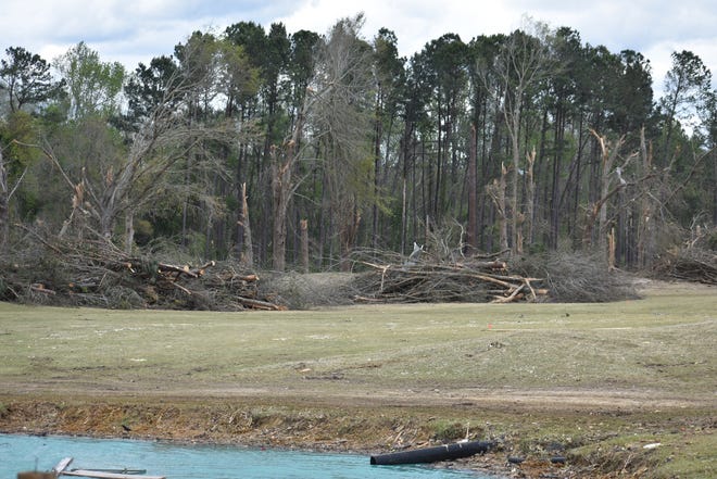 The damage to the trees on the No.  9 Fairway at Black Creek Golf Club.