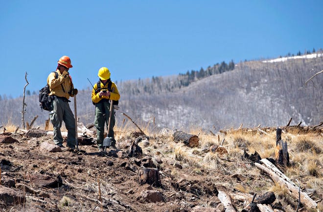 A pair of Resource Advisors from the Coconino National Forest record data in Division Alpha as they work to determine the severity of Tunnel Fires impact on the Forest. April 21, 2022 near Flagstaff, Ariz. The San Francisco Peaks in the rear show the effects of the 2010 Schultz Fire.