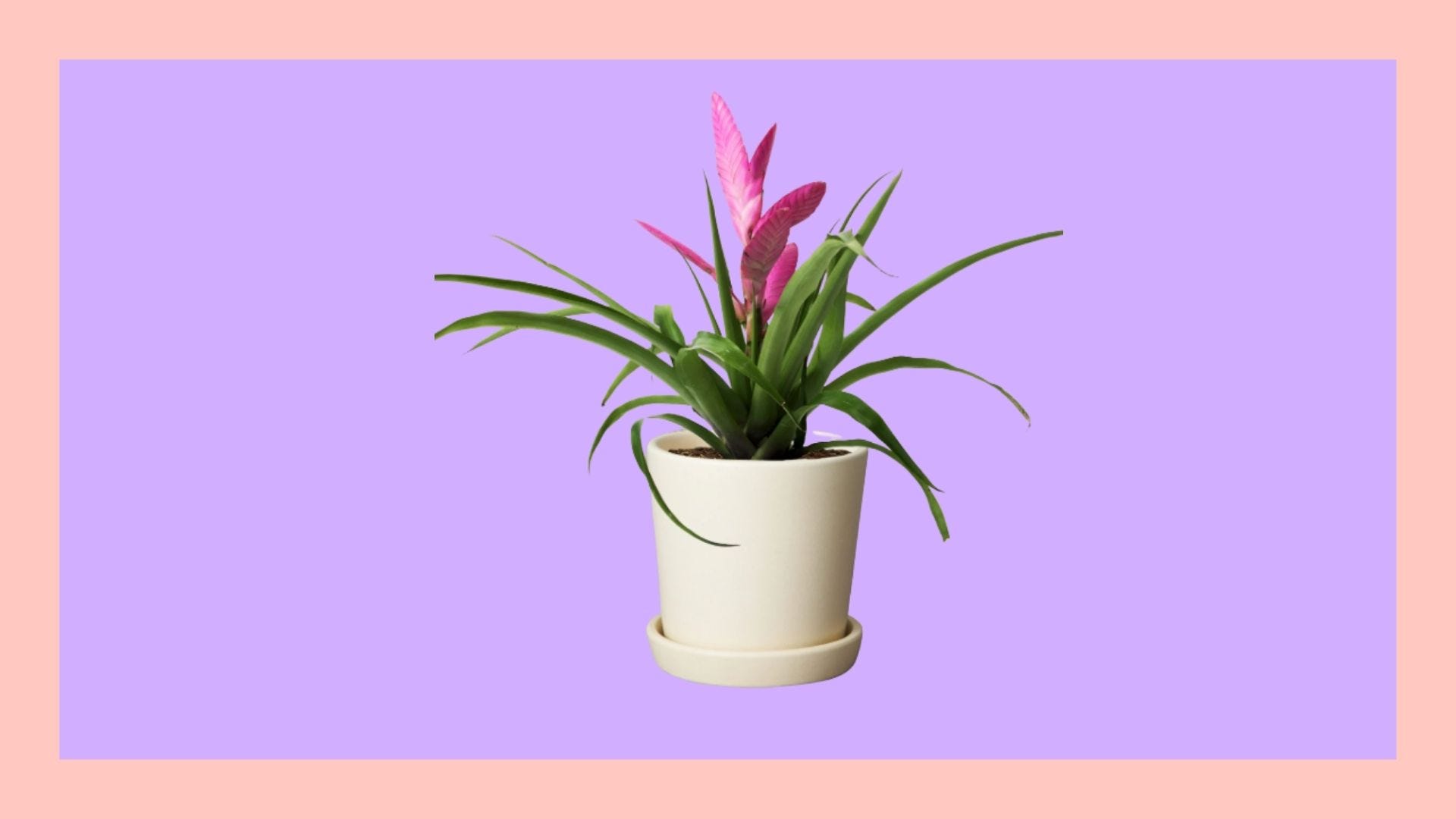 15 Mother's Day garden gifts perfect for plant moms 15 Mother's Day garden gifts perfect for plant moms