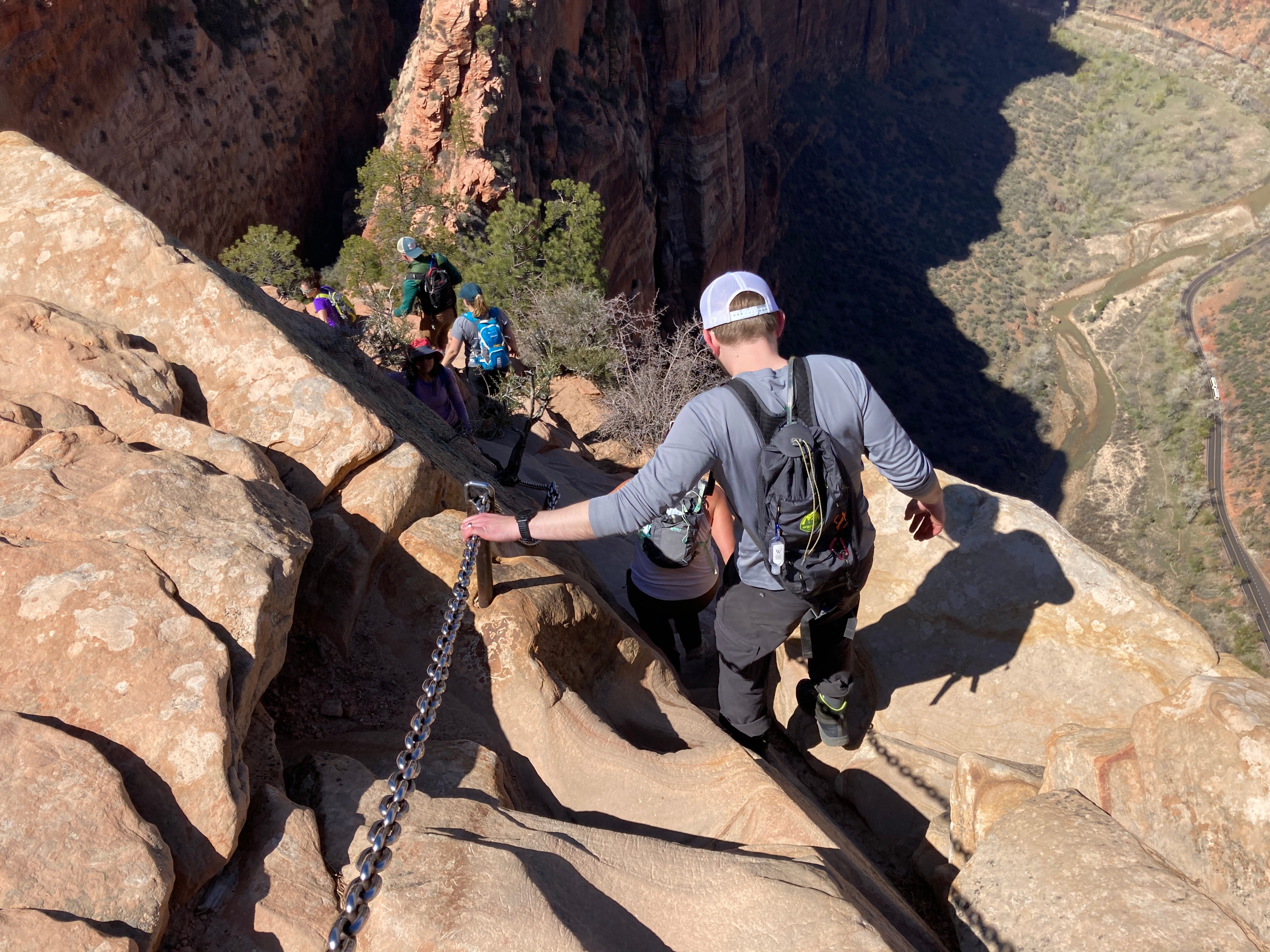 are dogs allowed in angels park zion national park