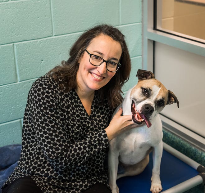 humane culture of naples celebrating countrywide pet thirty day period humane culture of naples celebrating countrywide pet thirty day period