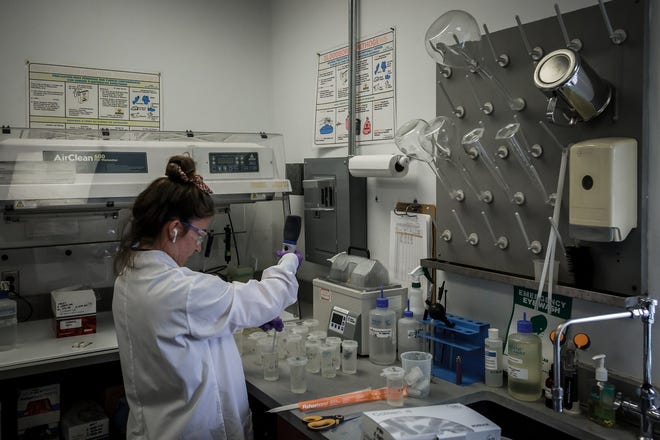 Testing of water quality is performed in the microbiology lab at the West Palm Beach Water Treatment Plant in July, 2021.